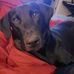 Ted Binkley - Facebook