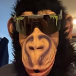 Ted B - @tedbird128 - Instagram
