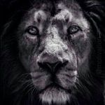 Ted Bird - @tedbird60 - Instagram