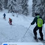 Ted Bird - @tedbird762 - Instagram