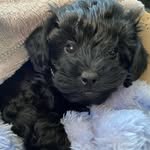 Teddan - @tedbjorkman - Instagram