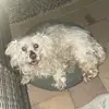 Palo petrik - @ted.blake - TikTok
