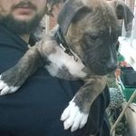 Ted Blake - @ted.blake.123829 - Instagram