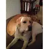 tedblandy - @tedblandy - TikTok