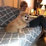 Ted Bledsoe - @bledsoeted - Instagram