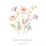 Bloom where you’re Planted - @bloomwhereyouareplanted2025 - Instagram
