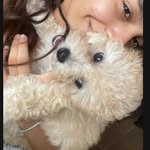 Ted Bode - @cachorrodanicole - Instagram
