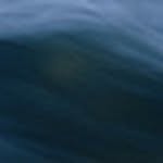 ted boden - @tedboden2018 - Instagram