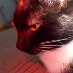 Ted - @ted_boden - Instagram