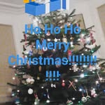 tedboden - @tedboden - Instagram