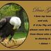 Ted Bogart - Facebook