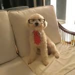Teddy Bogart - @teddybogart - Instagram