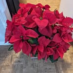 Katherine Boggs - @tedboggs11 - Instagram