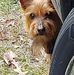 Ted Boggs - Facebook