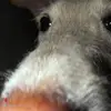 grantkzw18e - @marenbohnbachqtedqst - TikTok