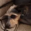 Ted Bolt - @ted.bolt8 - TikTok