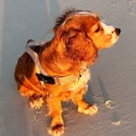 Ted Bondi - @ted_bondi - Instagram