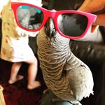 @tedbondhottestparrot - Instagram