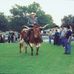 Brother Ted Pressley and Cowboys for Christ - Book - Facebook