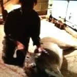 Ted Borden - @ted.borden9 - Instagram
