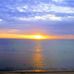 Ted Bornstein - Facebook