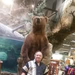 Ted Bottorff - @tedbottorff - Instagram