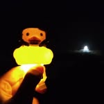 Ted - @tedbotteau432 - Instagram