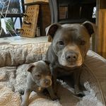 Millie & Ted Bowden - @millie.and.ted - Instagram