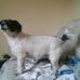Teddy Bowden - Facebook