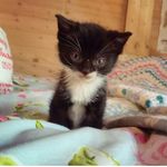 Ted Bowen - @ted_bowen - Instagram