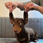 Ted Bowen - @546ni27aedpief - Instagram