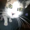 tedbowen8 - @tedbowen8 - TikTok