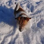 Ted - @ted.bowler14 - Instagram