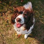 Teddy_Bowles - @_teddybowles_ - Instagram