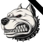 Ted Bowman - @ted.bowman.967 - Instagram