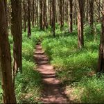 Ted Bowman - @bowman_offthegrid - Instagram