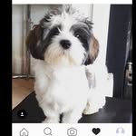 Ted Boyce - @ted_boyce - Instagram