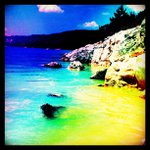 Ted Boyd - @bunnympta - Instagram
