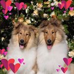 Ted Boyd - @tedboyd48 - Instagram