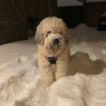 Ted Boyd - @teddyboyd564 - Instagram