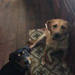 Ted Boyle - @tlbe1121 - Instagram