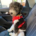 Teddy Boynton - @teddy.doodlenyc - Instagram