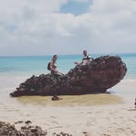 Sam Bradshaw - @sam_bradshaw_ted - Instagram