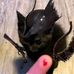 Theodore Bradshaw - Facebook