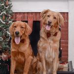 @ted_and_brady - Instagram