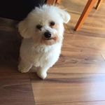 Ted Brady - @teds__adventures_ - Instagram