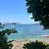 Tedbrady4 - @tedbrady4 - TikTok