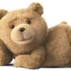 user9755071336376 - @tedbrady6 - TikTok