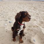 Teddy.Braggs - @teddy.braggs - Instagram