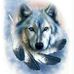 Todd Brancheau - Facebook